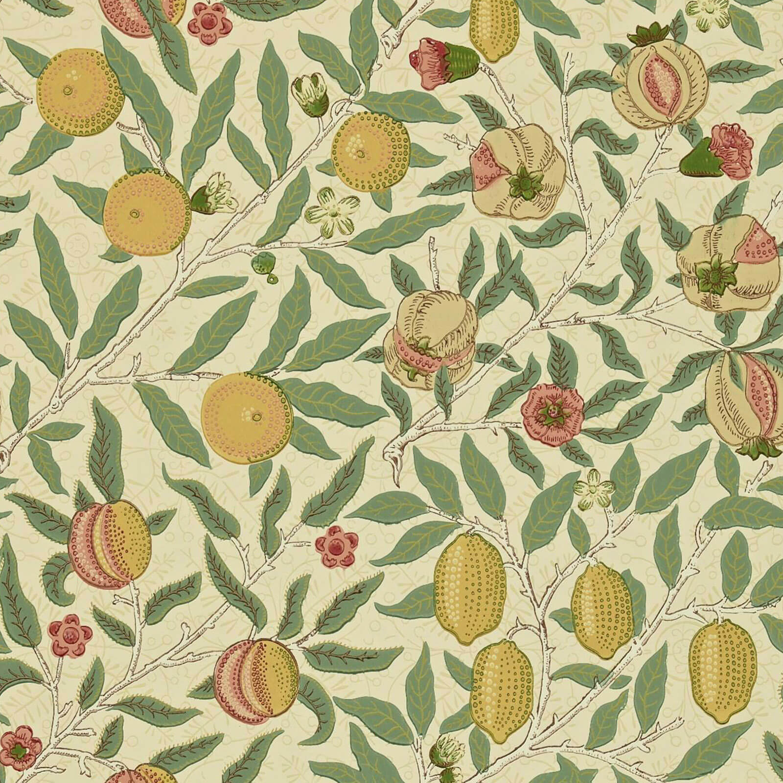 Fruit Beige Gold Coral