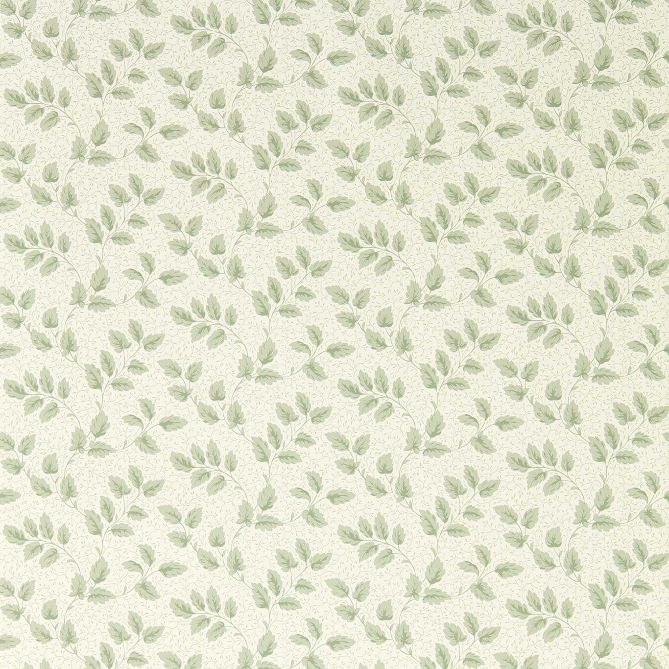 Tomato Leaf Willow